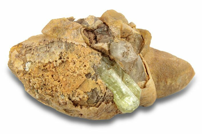 Lustrous, Yellow Apatite Crystal on Calcite - Morocco #251155